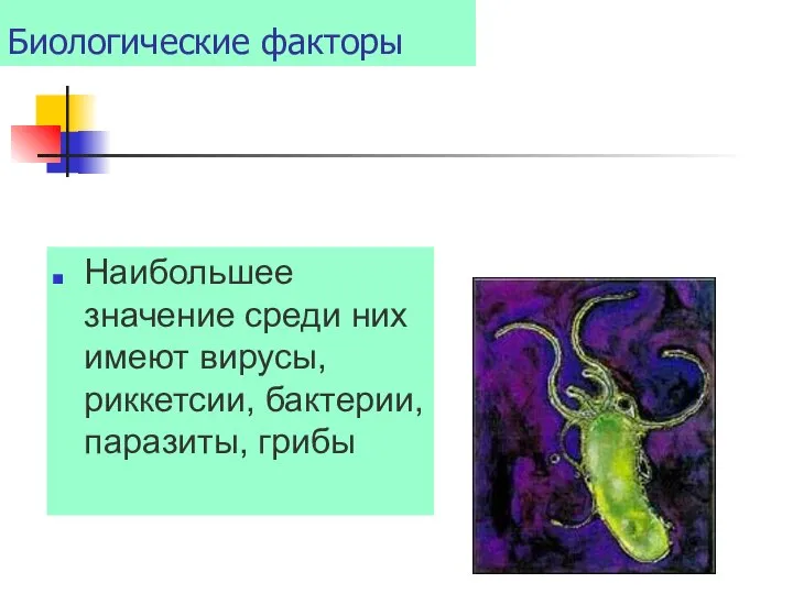 Биологические факторы Наибольшее значение среди них имеют вирусы, риккетсии, бактерии, паразиты, грибы