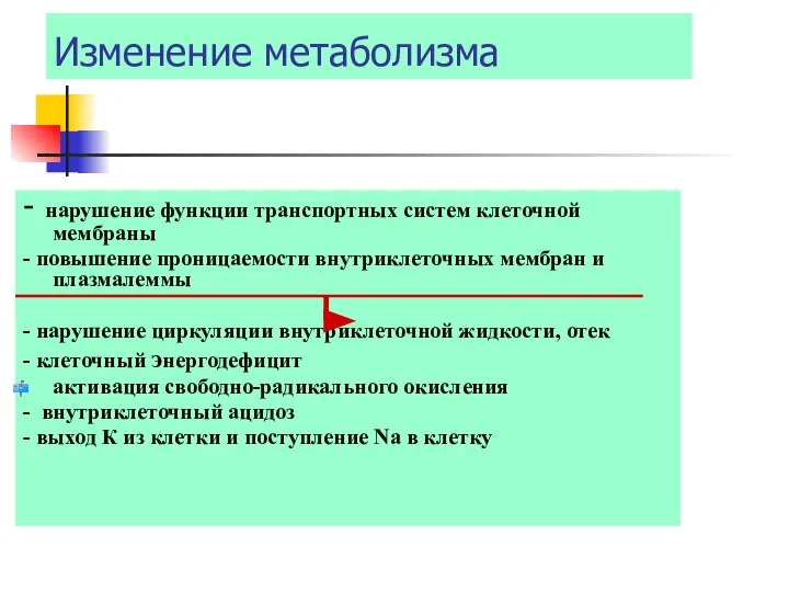 Изменение метаболизма - нарушение функции транспортных систем клеточной мембраны - повышение