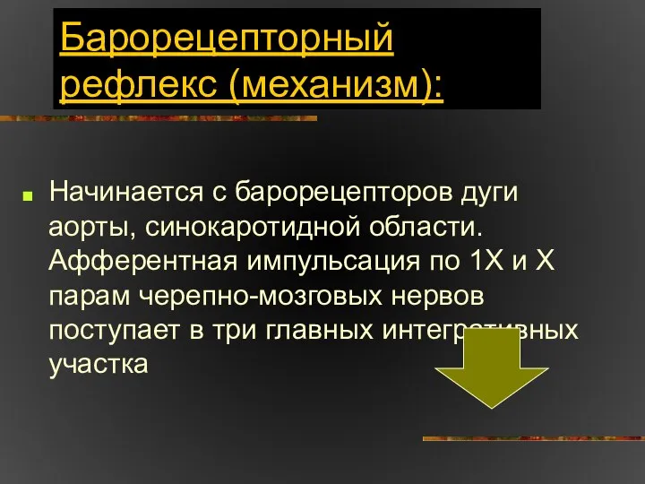 Барорецепторный рефлекс (механизм): Начинается с барорецепторов дуги аорты, синокаротидной области. Афферентная