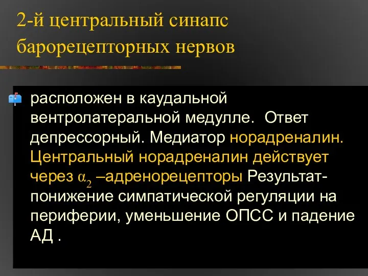 2-й центральный синапс барорецепторных нервов расположен в каудальной вентролатеральной медулле. Ответ