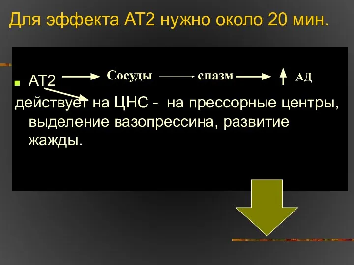 Для эффекта АТ2 нужно около 20 мин. АТ2 действует на ЦНС