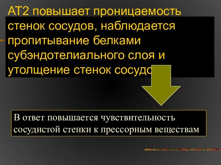 АТ2 повышает проницаемость стенок сосудов, наблюдается пропитывание белками субэндотелиального слоя и