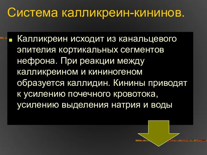 Система калликреин-кининов. Калликреин исходит из канальцевого эпителия кортикальных сегментов нефрона. При