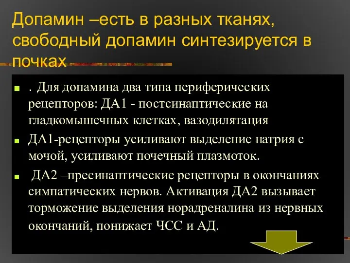 Допамин –есть в разных тканях, свободный допамин синтезируется в почках .