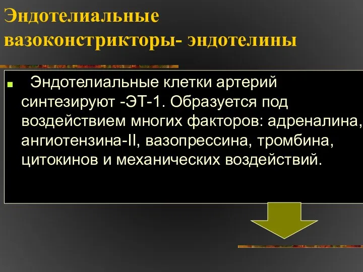 Эндотелиальные вазоконстрикторы- эндотелины . Эндотелиальные клетки артерий синтезируют -ЭТ-1. Образуется под