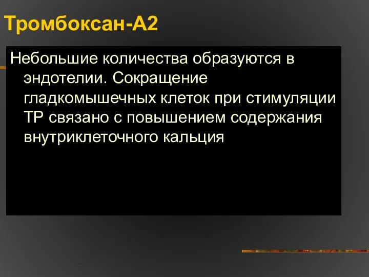 Тромбоксан-А2 Небольшие количества образуются в эндотелии. Сокращение гладкомышечных клеток при стимуляции