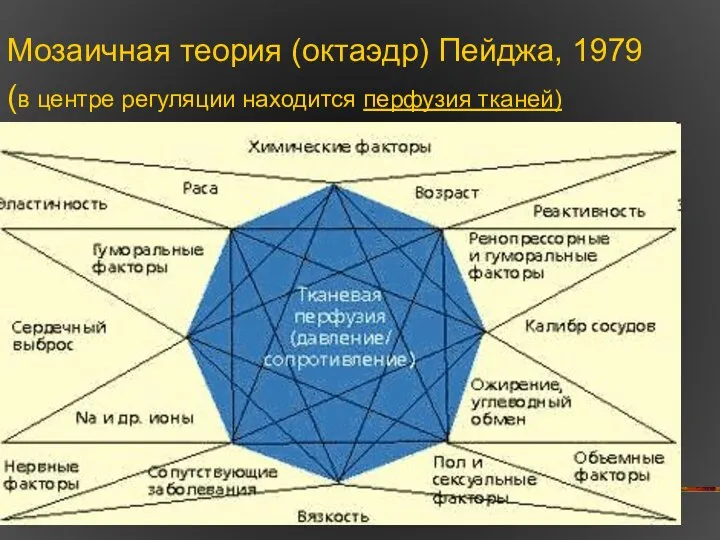 Мозаичная теория (октаэдр) Пейджа, 1979 (в центре регуляции находится перфузия тканей)