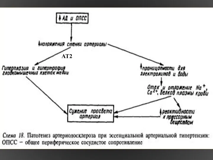 АТ2