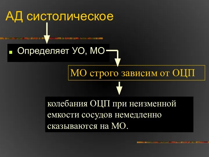 АД систолическое Определяет УО, МО МО строго зависим от ОЦП колебания