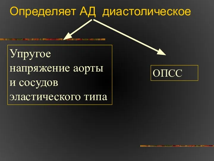 Определяет АД диастолическое Упругое напряжение аорты и сосудов эластического типа ОПСС