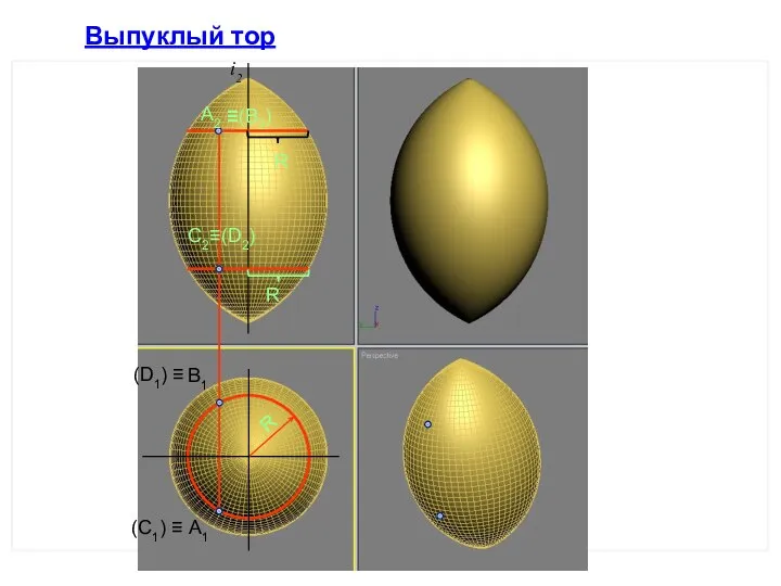 Выпуклый тор R R А2 А1 R В1 С2≡(D2) (C1) ≡ (D1) ≡ ≡(В2) i2