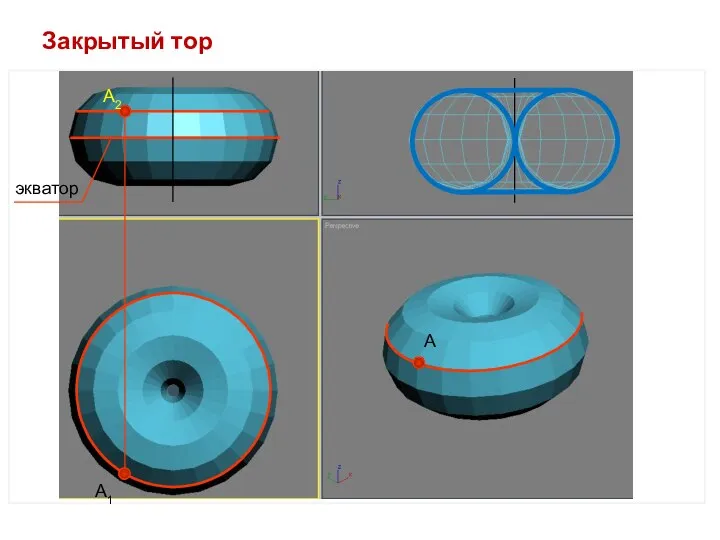 Закрытый тор А2 А1 А экватор