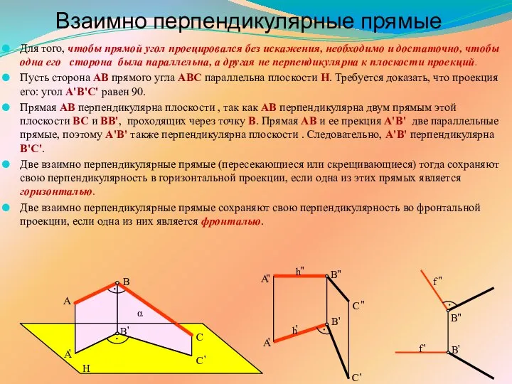 Взаимно перпендикулярные прямые Для того, чтобы прямой угол проецировался без искажения,