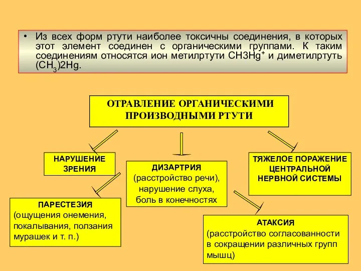 Из всех форм ртути наиболее токсичны соединения, в которых этот элемент