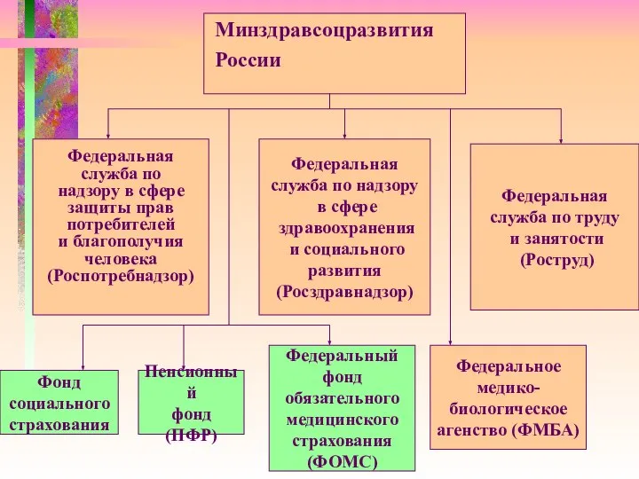 Федеральная служба по надзору в сфере защиты прав потребителей и благополучия