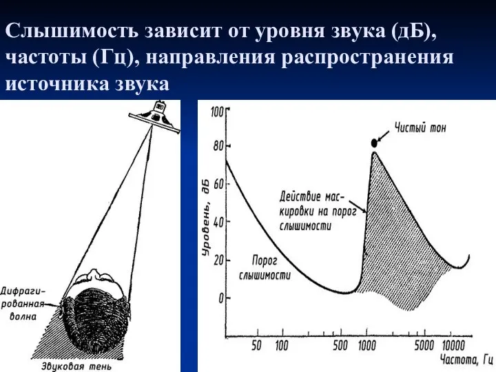 Слышимость зависит от уровня звука (дБ), частоты (Гц), направления распространения источника звука