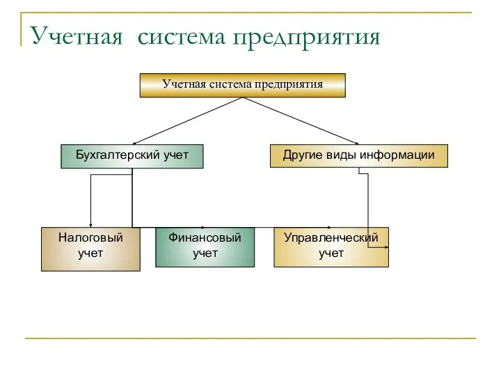 Учетная система предприятия Учетная система предприятия Бухгалтерский учет Другие виды информации