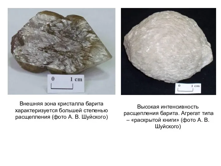 Внешняя зона кристалла барита характеризуется большей степенью расщепления (фото А. В.