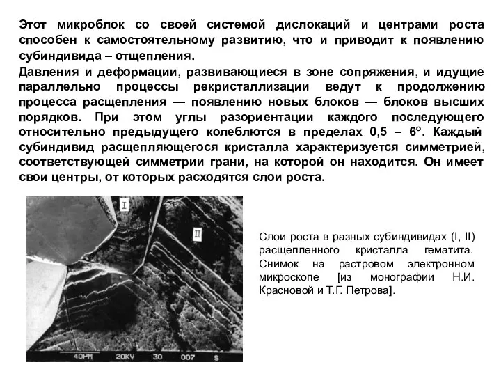 Слои роста в разных субиндивидах (I, II) расщепленного кристалла гематита. Снимок