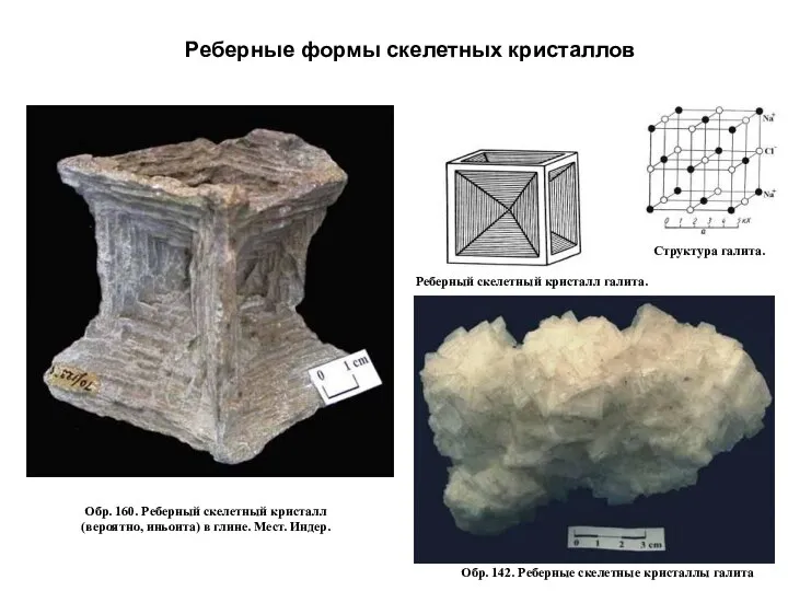 Обр. 160. Реберный скелетный кристалл (вероятно, иньоита) в глине. Мест. Индер.