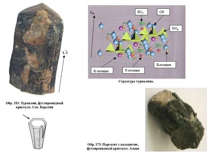 Обр. 183. Турмалин, футляровидный кристалл. Сев. Карелия Обр. 175. Паргасит с