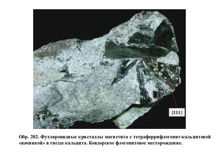 Обр. 202. Футляровидные кристаллы магнетита с тетраферрифлогопит-кальцитовой «начинкой» в гнезде кальцита. Ковдорское флогопитовое месторождение.