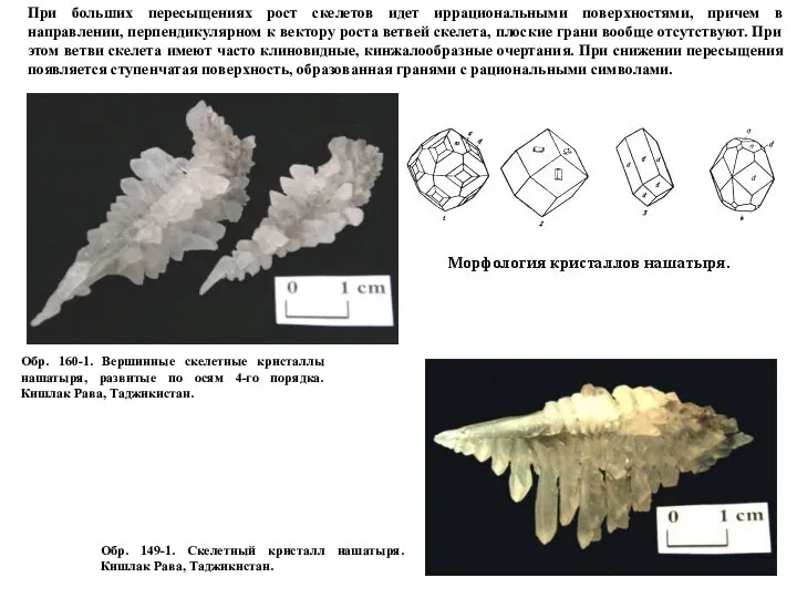 Обр. 149-1. Скелетный кристалл нашатыря. Кишлак Рава, Таджикистан. Обр. 160-1. Вершинные