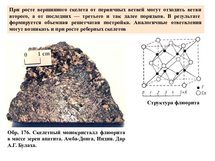 Обр. 176. Скелетный монокристалл флюорита в массе зерен апатита. Амба-Донга, Индия.