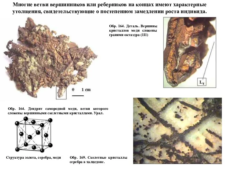 Обр. 169. Скелетные кристаллы серебра в халцедоне. Структура золота, серебра, меди