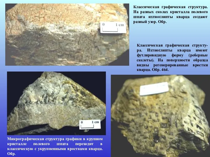 Классическая графическая структу-ра. Ихтиоглипты кварца имеют футляровидную форму (реберные скелеты). На