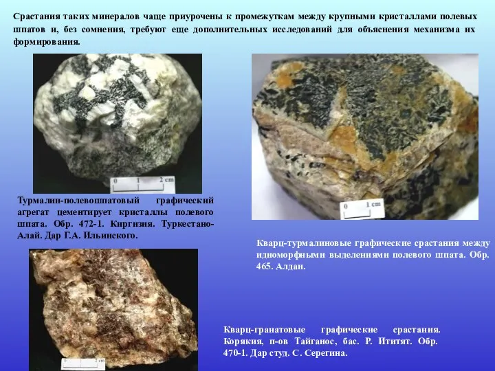 Срастания таких минералов чаще приурочены к промежуткам между крупными кристаллами полевых