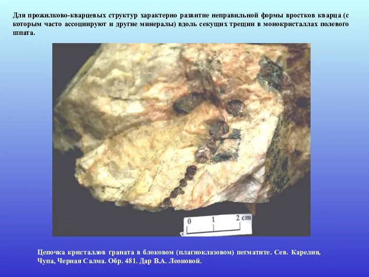 Для прожилково-кварцевых структур характерно развитие неправильной формы вростков кварца (с которым