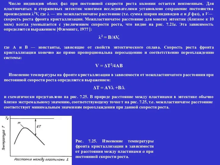 Число индивидов обеих фаз при постоянной скорости роста колонии остается неизменным.