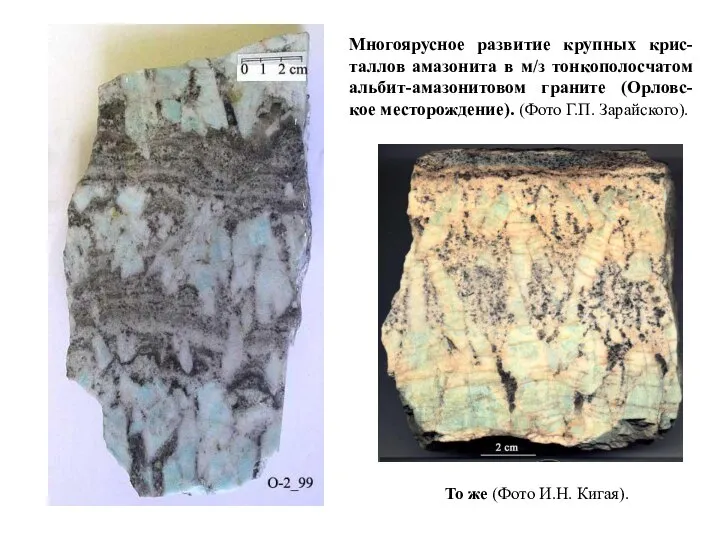 Многоярусное развитие крупных крис-таллов амазонита в м/з тонкополосчатом альбит-амазонитовом граните (Орловс-кое