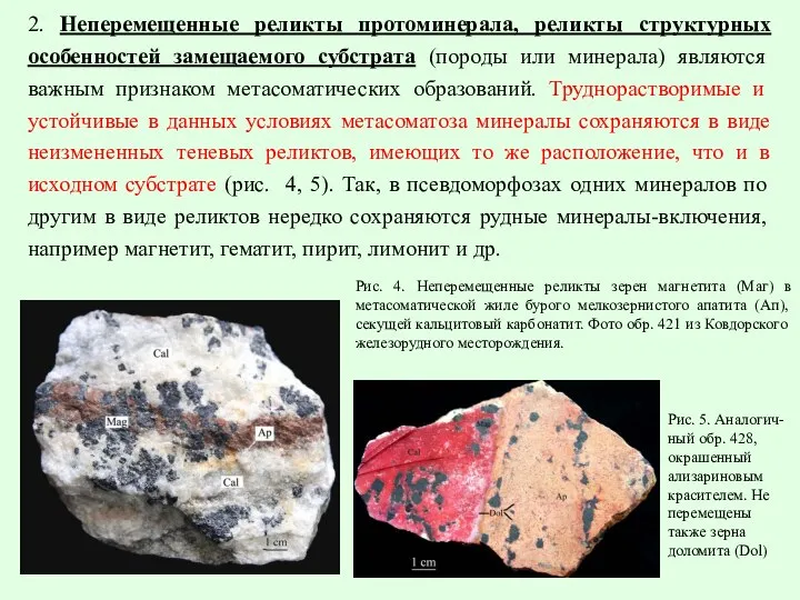 2. Неперемещенные реликты протоминерала, реликты структурных особенностей замещаемого субстрата (породы или