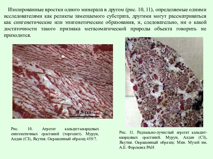 Изолированные вростки одного минерала в другом (рис. 10, 11), определяемые одними