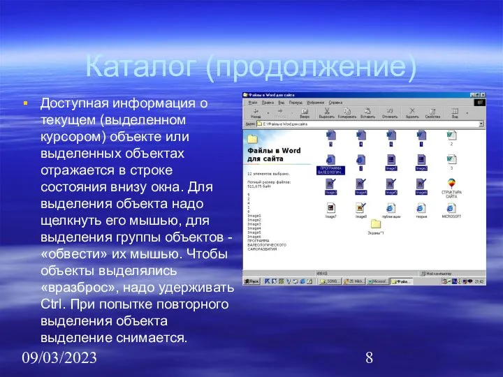 09/03/2023 Каталог (продолжение) Доступная информация о текущем (выделенном курсором) объекте или