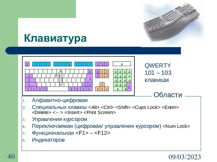 09/03/2023 Клавиатура Алфавитно-цифровая Специальных клавиш Управления курсором Переключаемая (цифровая/ управления курсором)