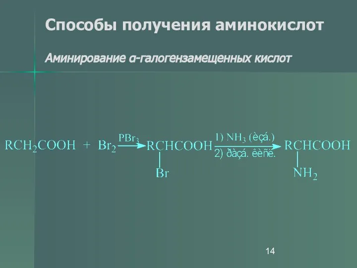 Способы получения аминокислот Аминирование α-галогензамещенных кислот