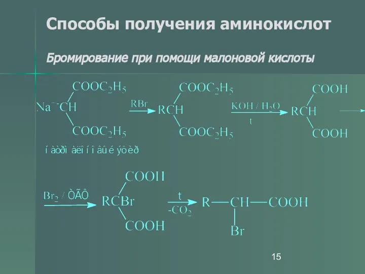 Способы получения аминокислот Бромирование при помощи малоновой кислоты