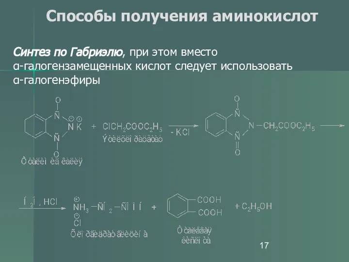 Способы получения аминокислот Синтез по Габриэлю, при этом вместо α-галогензамещенных кислот следует использовать α-галогенэфиры