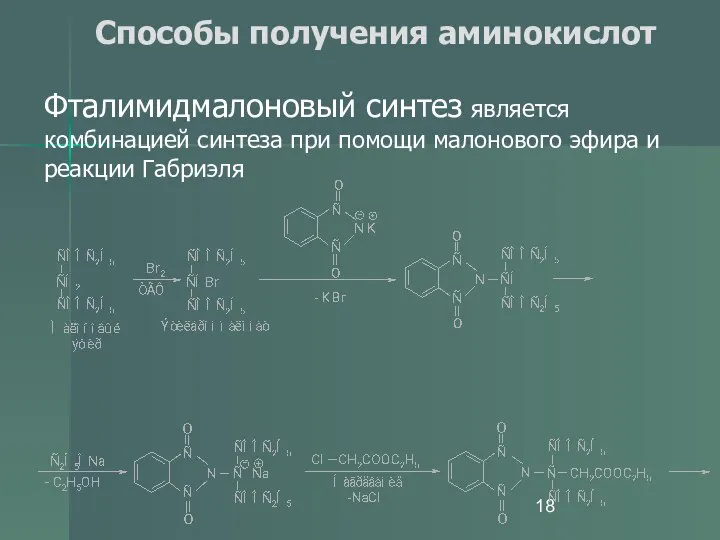 Способы получения аминокислот Фталимидмалоновый синтез является комбинацией синтеза при помощи малонового эфира и реакции Габриэля