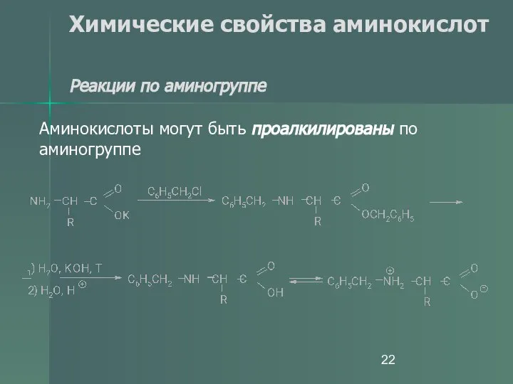 Химические свойства аминокислот Реакции по аминогруппе Аминокислоты могут быть проалкилированы по аминогруппе