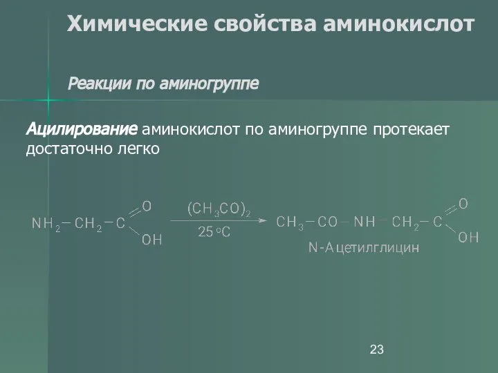 Химические свойства аминокислот Реакции по аминогруппе Ацилирование аминокислот по аминогруппе протекает достаточно легко