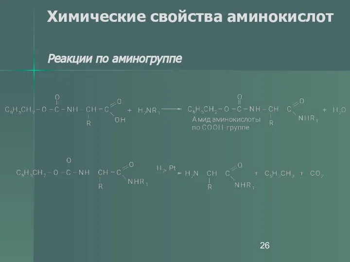 Химические свойства аминокислот Реакции по аминогруппе