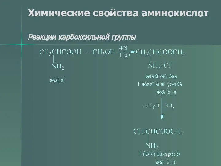 Химические свойства аминокислот Реакции карбоксильной группы