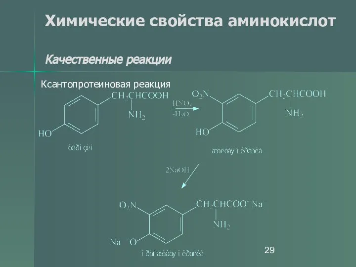 Химические свойства аминокислот Качественные реакции Ксантопротеиновая реакция