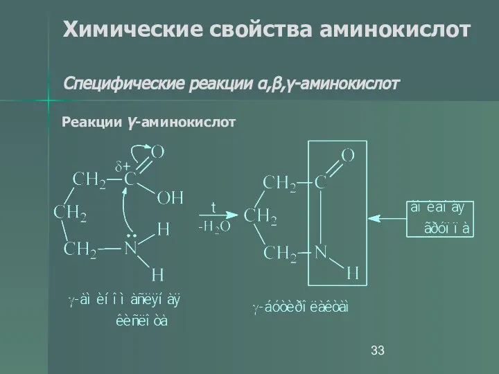 Химические свойства аминокислот Специфические реакции α,β,γ-аминокислот Реакции γ-аминокислот