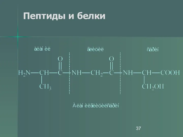 Пептиды и белки