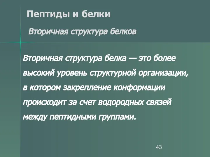 Пептиды и белки Вторичная структура белков Вторичная структура белка — это